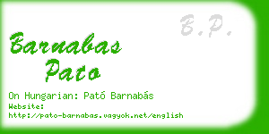 barnabas pato business card
