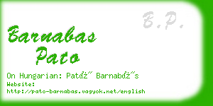 barnabas pato business card